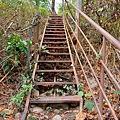 20240405_133230.jpg