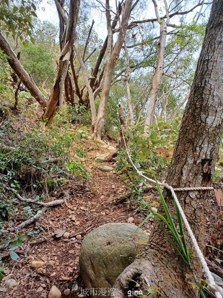 【台中豐原】豐原萬里長城登山步道x寮水山