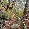 20240405_133331.jpg