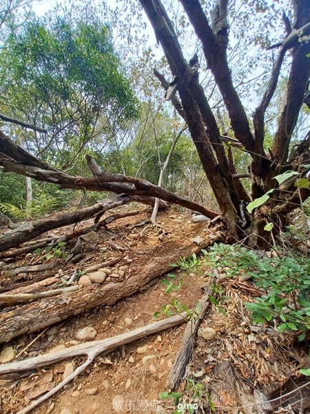 【台中豐原】豐原萬里長城登山步道x寮水山