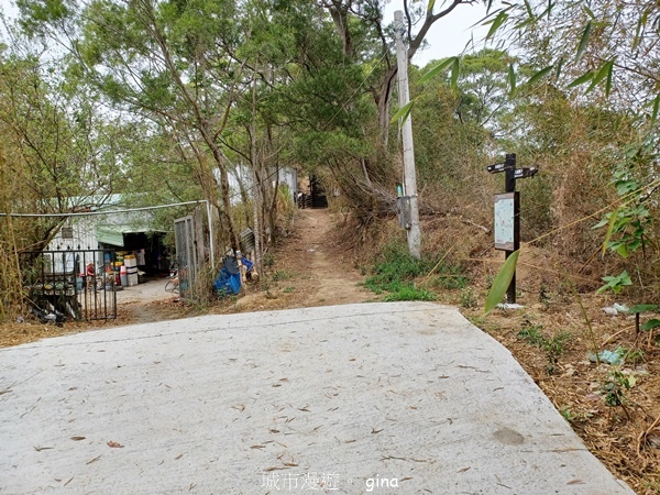 【台中豐原】豐原萬里長城登山步道x寮水山