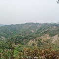 20240405_135109.jpg