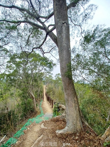 【台中豐原】豐原萬里長城登山步道x寮水山