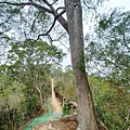 20240405_141605.jpg