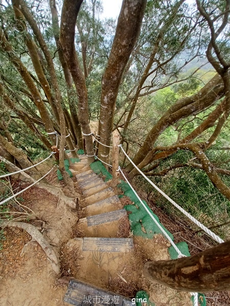 【台中豐原】豐原萬里長城登山步道x寮水山