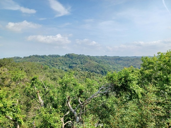 20240420_093142.jpg