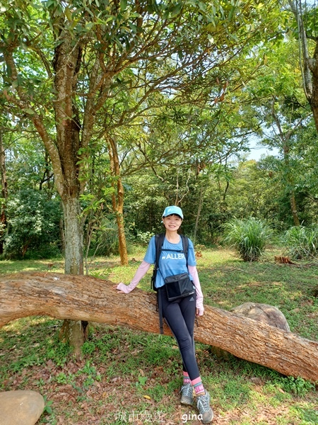 【苗栗三義~】天晴踏青趣。 四月雪 小徑x慈濟山x三義山x新