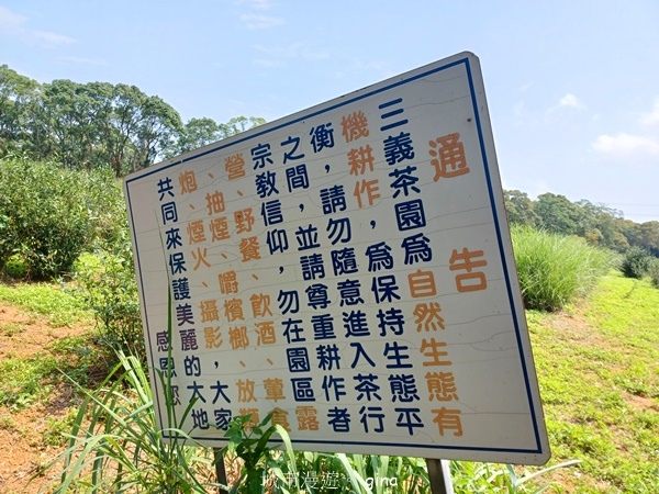 【苗栗三義~】天晴踏青趣。 四月雪 小徑x慈濟山x三義山x新