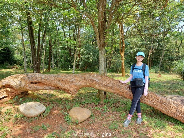 【苗栗三義~】天晴踏青趣。 四月雪 小徑x慈濟山x三義山x新