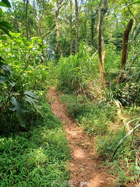 20240504_105140.jpg