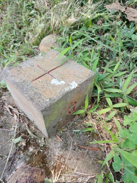 【苗栗三義~】天晴踏青趣。 四月雪 小徑x慈濟山x三義山x新