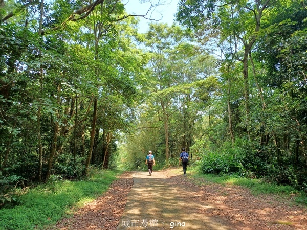 【苗栗三義~】天晴踏青趣。 四月雪 小徑x慈濟山x三義山x新