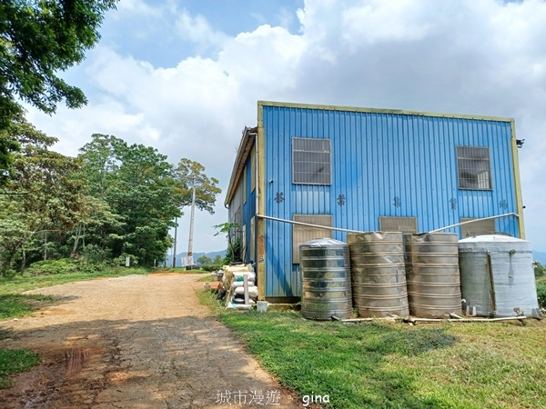 【苗栗三義~】天晴踏青趣。 四月雪 小徑x慈濟山x三義山x新