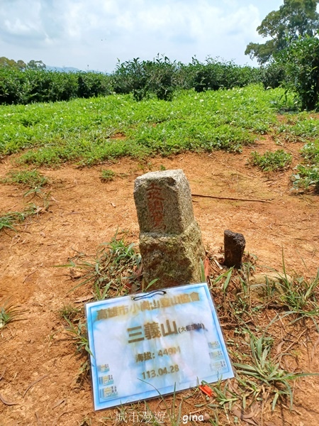 【苗栗三義~】天晴踏青趣。 四月雪 小徑x慈濟山x三義山x新