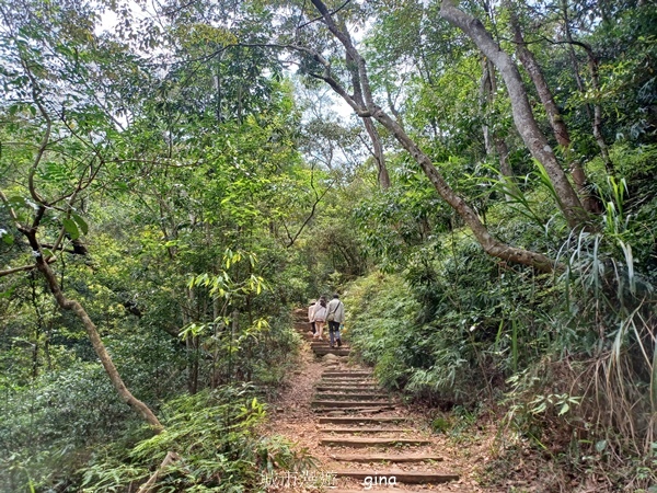 【苗栗三義~】天晴踏青趣。 四月雪 小徑x慈濟山x三義山x新