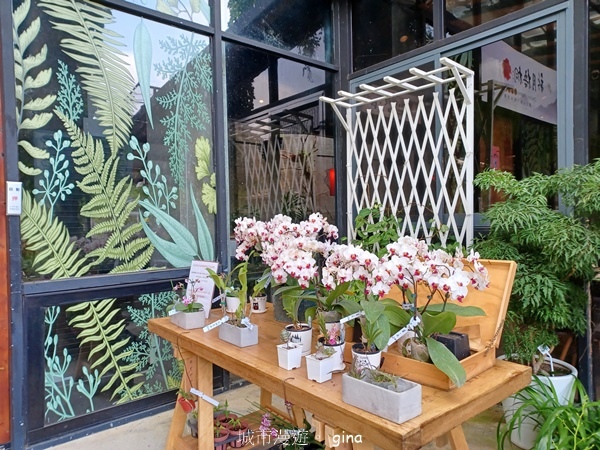 【苗栗三義~】天晴踏青趣。 四月雪 小徑x慈濟山x三義山x新