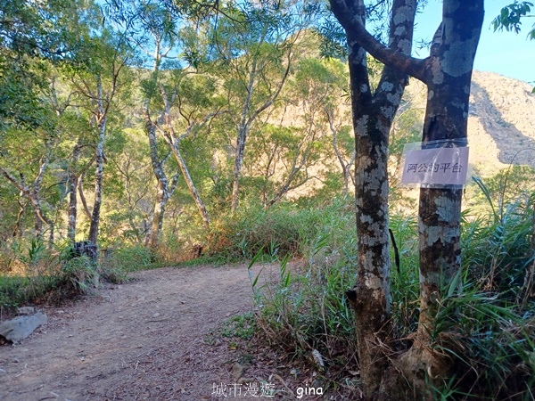 【屏東獅子鄉】台灣百大必訪步道~里龍山步道~