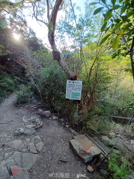 【屏東獅子鄉】台灣百大必訪步道~里龍山步道~