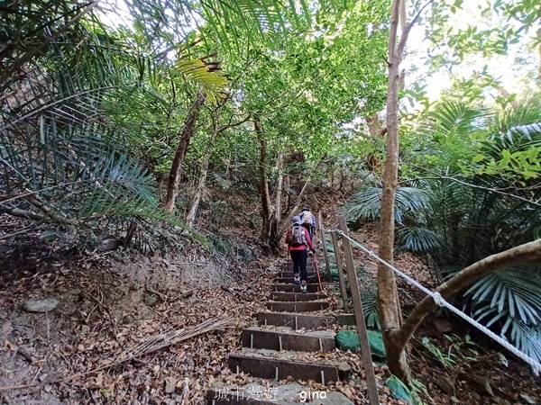 【屏東獅子鄉】台灣百大必訪步道~里龍山步道~