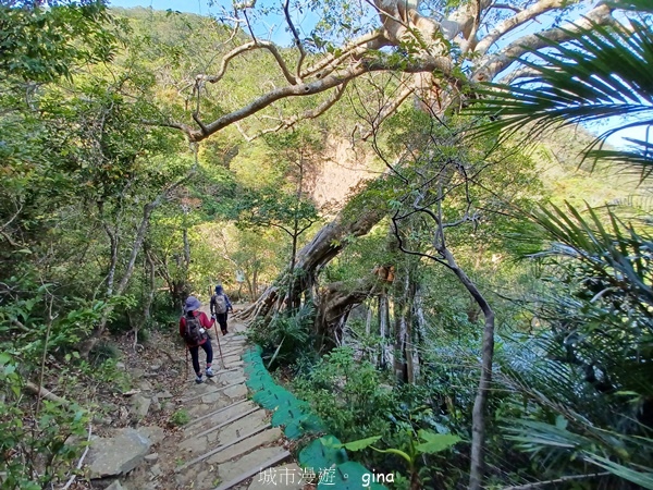 【屏東獅子鄉】台灣百大必訪步道~里龍山步道~