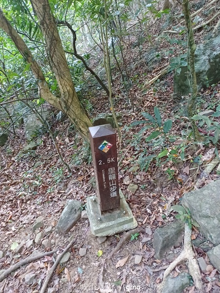 【屏東獅子鄉】台灣百大必訪步道~里龍山步道~