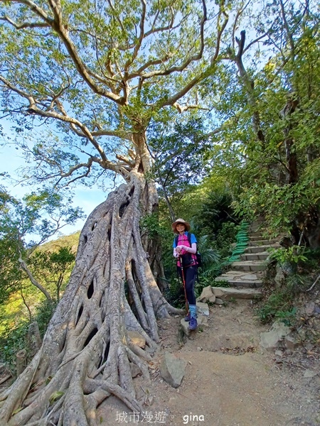 【屏東獅子鄉】台灣百大必訪步道~里龍山步道~