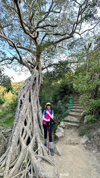 【屏東獅子鄉】台灣百大必訪步道~里龍山步道~