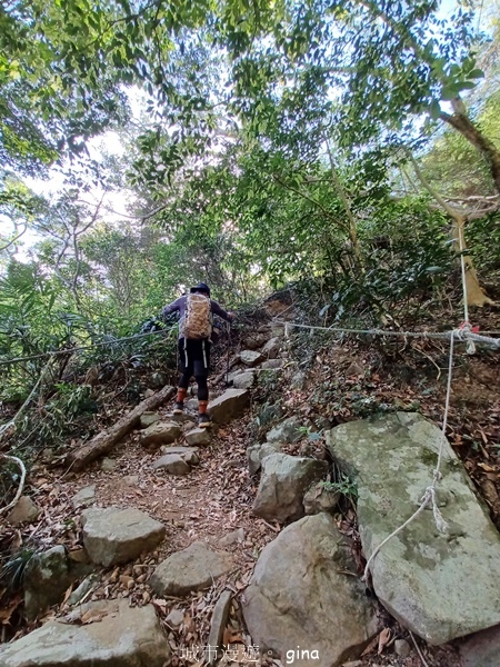 【屏東獅子鄉】台灣百大必訪步道~里龍山步道~