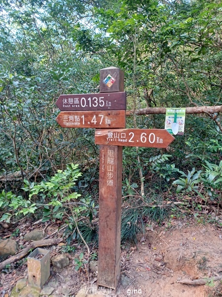 【屏東獅子鄉】台灣百大必訪步道~里龍山步道~