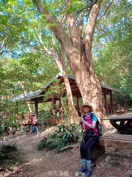 【屏東獅子鄉】台灣百大必訪步道~里龍山步道~