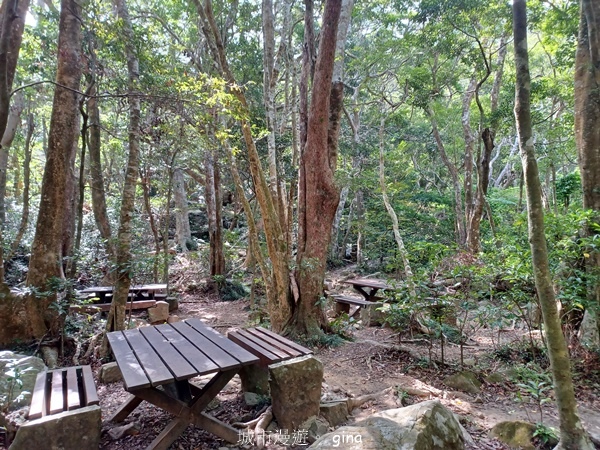 【屏東獅子鄉】台灣百大必訪步道~里龍山步道~