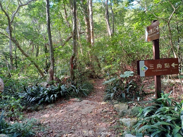 【屏東獅子鄉】台灣百大必訪步道~里龍山步道~