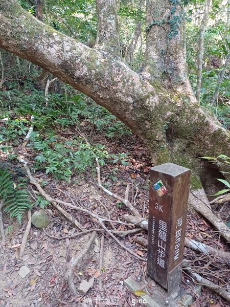 【屏東獅子鄉】台灣百大必訪步道~里龍山步道~