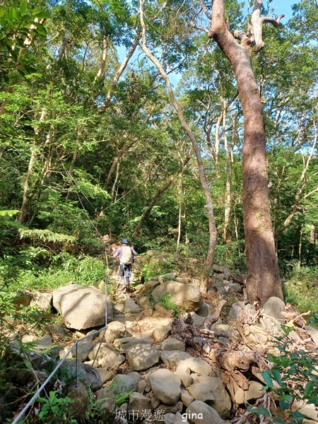 【屏東獅子鄉】台灣百大必訪步道~里龍山步道~