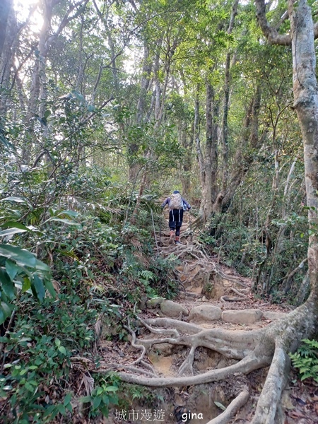 【屏東獅子鄉】台灣百大必訪步道~里龍山步道~