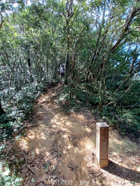 【屏東獅子鄉】台灣百大必訪步道~里龍山步道~