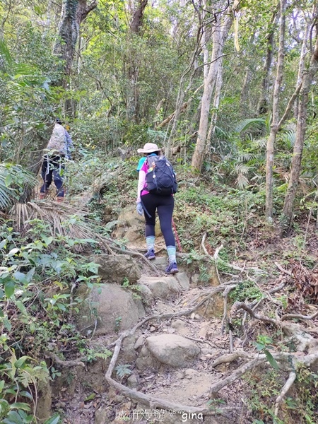 【屏東獅子鄉】台灣百大必訪步道~里龍山步道~