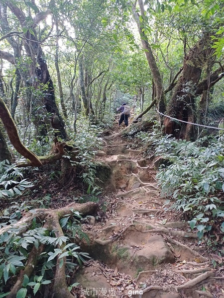 【屏東獅子鄉】台灣百大必訪步道~里龍山步道~