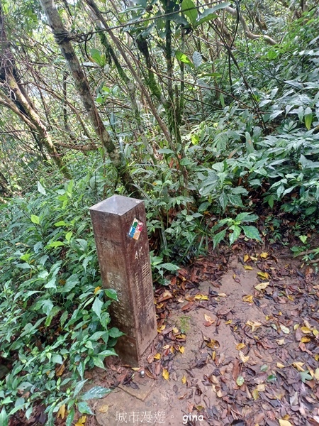 【屏東獅子鄉】台灣百大必訪步道~里龍山步道~