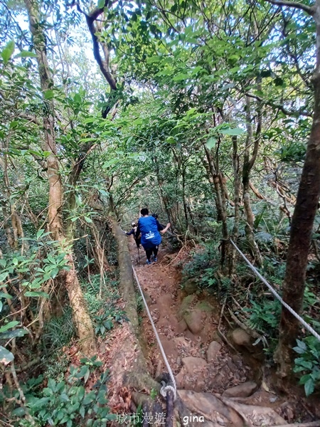 【屏東獅子鄉】台灣百大必訪步道~里龍山步道~