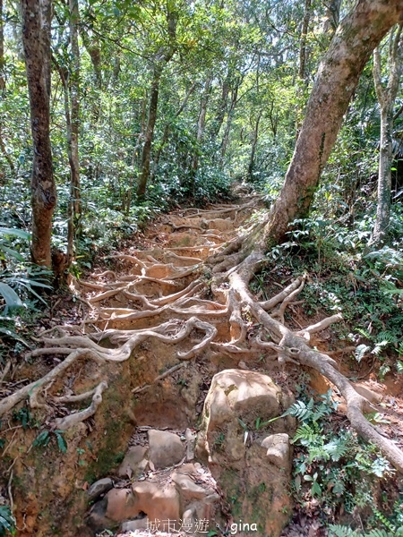 【屏東獅子鄉】台灣百大必訪步道~里龍山步道~
