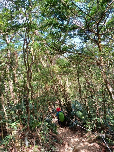【屏東獅子鄉】台灣百大必訪步道~里龍山步道~