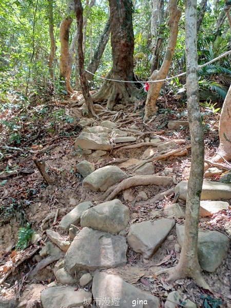 【屏東獅子鄉】台灣百大必訪步道~里龍山步道~