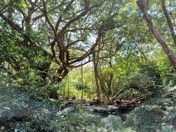 【屏東獅子鄉】台灣百大必訪步道~里龍山步道~
