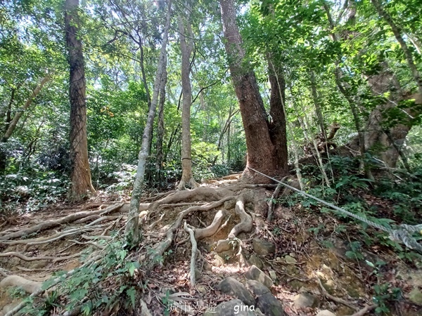 【屏東獅子鄉】台灣百大必訪步道~里龍山步道~