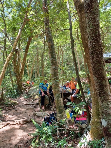 【屏東獅子鄉】台灣百大必訪步道~里龍山步道~