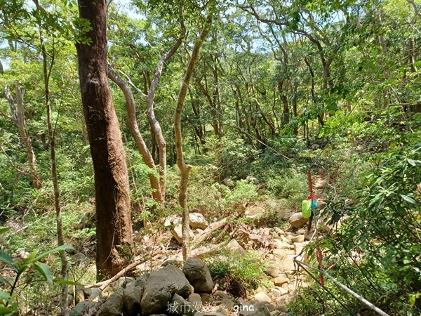 【屏東獅子鄉】台灣百大必訪步道~里龍山步道~
