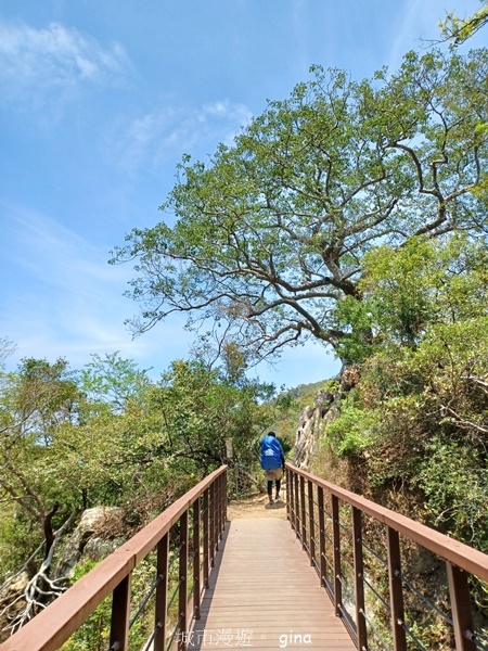 【屏東獅子鄉】台灣百大必訪步道~里龍山步道~