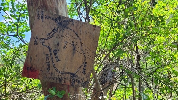 【屏東獅子鄉】台灣百大必訪步道~里龍山步道~