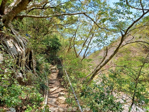 【屏東獅子鄉】台灣百大必訪步道~里龍山步道~